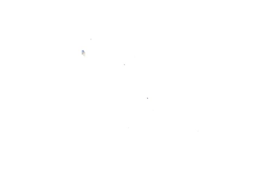 Image 75